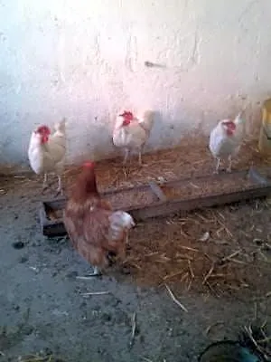 Bed & Breakfast Beim Schuster